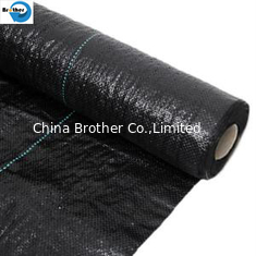China Agriculture Spunbonded Fabirc/Fruit/Plant/Flowers/Weeds/Crops Cover/Nonwoven Fabric Roll supplier