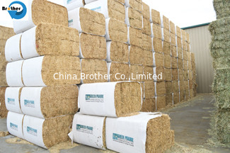 China Mini Round Hay Bale Wrapper for Sale,Wear Resisting Hay Bale Sleeves Woven Polypropylene Cloth BOPP Film supplier