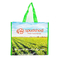 Full Printing Cross Stitched PP Woven Shopping Bag with Mesh Pocket supplier